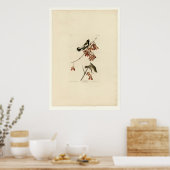 Rice Bird Poster (Küche)