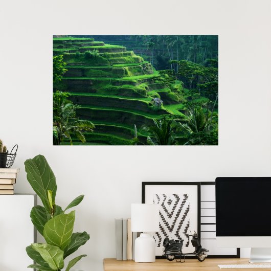 Rice Fields Bali Indonesia Poster (Heimbüro)