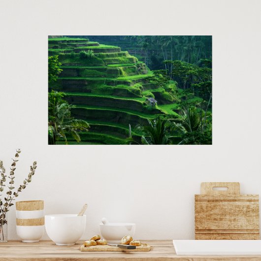 Rice Fields Bali Indonesia Poster (Küche)