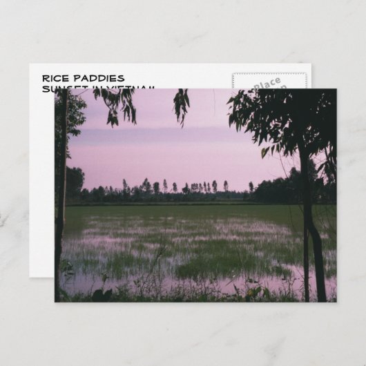 Rice Paddies Postkarte (Vorne/Hinten)