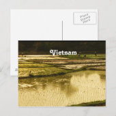 Rice Paddy Postkarte (Vorne/Hinten)
