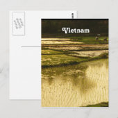 Rice Paddy Postkarte (Vorne/Hinten)
