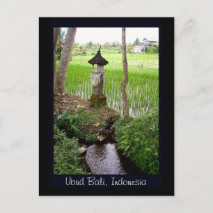 Rice Paddy, Temple, Ubud Bali, Indonesien Postkarte