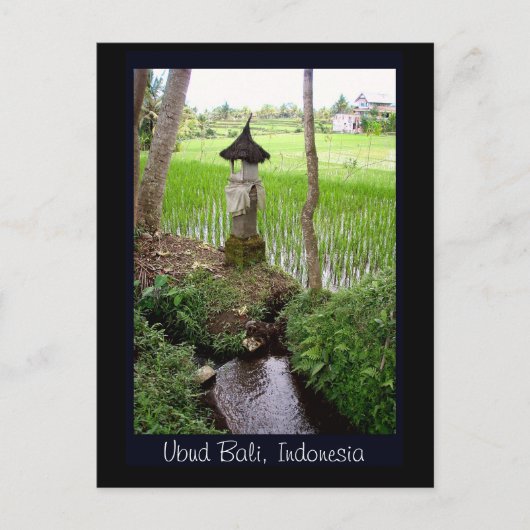 Rice Paddy, Temple, Ubud Bali, Indonesien Postkarte (Vorderseite)