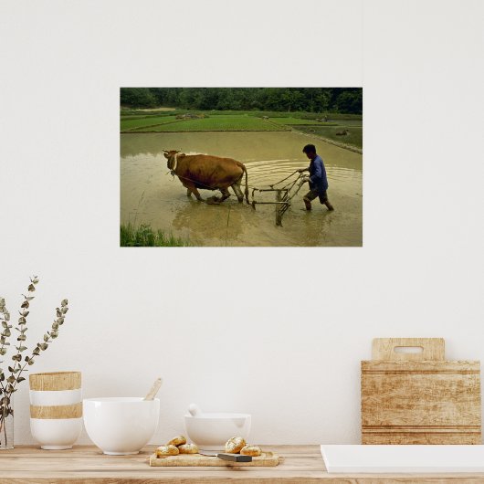Rice Plow Poster (Küche)