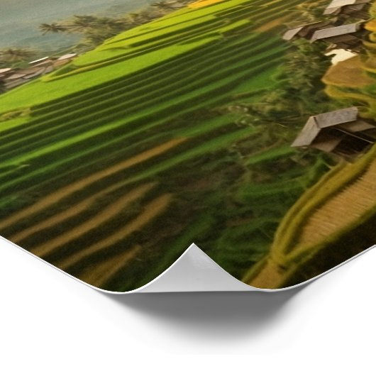 Rice Terraces Sunrise Poster (Ecke)