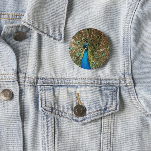 Rich Color Foto of Peacock Button (Beispiel)