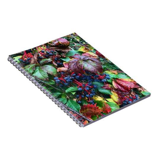 Rich Colors Notebook Notizblock (Rechte Seite)