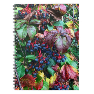 Rich Colors Notebook Notizblock