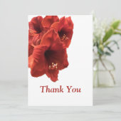 Rich Earthy Ruby Red Amaryllis Composite Foto Dankeskarte (Stehend Vorderseite)