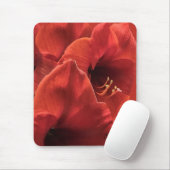 Rich Earthy Ruby Red Amaryllis Composite Foto Mousepad (Mit Mouse)