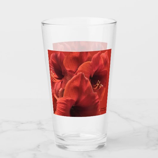 Rich Earthy Ruby Red Amaryllis Foto Glas (Vorderseite)