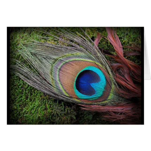 Rich, elegantes Peacock Feather-Foto (Vorderseite (Horizontal))