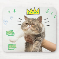 Rich King Cat