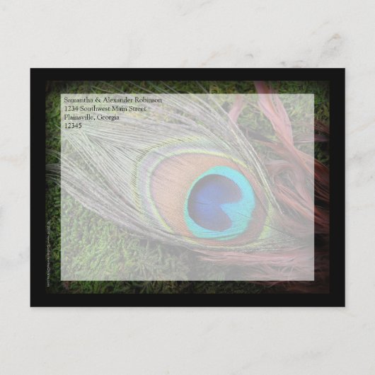 Rich Peacock Feather Green Moss Save the Date Card Ankündigungspostkarte (Rückseite)