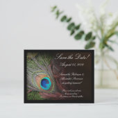 Rich Peacock Feather Green Moss Save the Date Card Ankündigungspostkarte (Stehend Vorderseite)