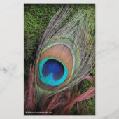Rich Peacock Feather mit grünem Moss Flyer (Hinten)