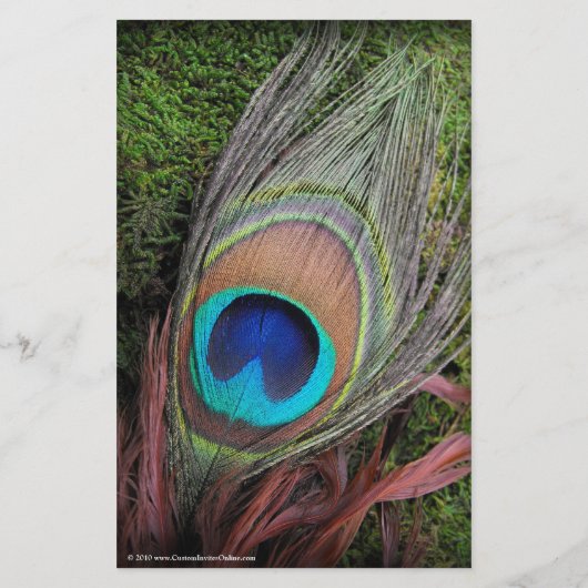 Rich Peacock Feather mit grünem Moss Flyer (Hinten)