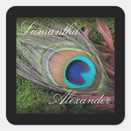 Rich Peacock Feather mit grünem Moss Quadratischer Aufkleber (Vorderseite)