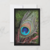 Rich Peacock Feather mit grünem Moss RSVP Karte (Rückseite)