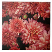 Rich Red Chrysanthemas Fliese (Vorderseite)