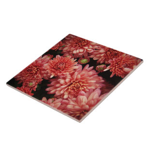 Rich Red Chrysanthemas Fliese