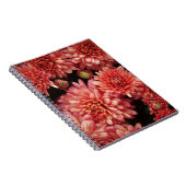 Rich Red Chrysanthemas Notizblock (Rechte Seite)