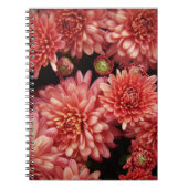 Rich Red Chrysanthemas Notizblock (Vorderseite)