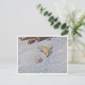 Richard Friese, Polar Bear Family Postcard Postkarte (Stehend Vorderseite)