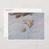 Richard Friese, Polar Bear Family Postcard Postkarte (Vorne/Hinten)