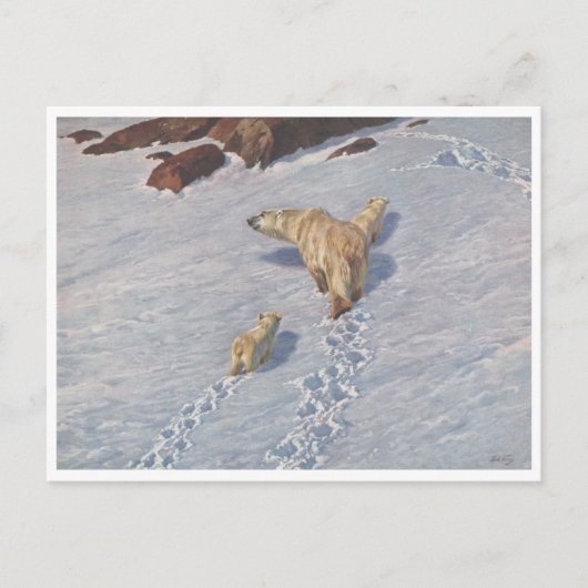 Richard Friese, Polar Bear Family Postcard Postkarte (Vorderseite)