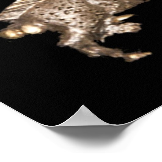 Richard III im Schatten Poster (Ecke)