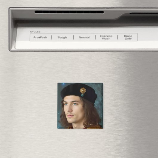 Richard III Magnet (In Situ (Geschirrspüler))
