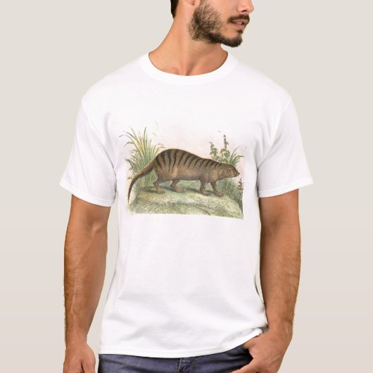 Richard Lydekker - Broad-Banded Cusimanse T-Shirt (Vorderseite)