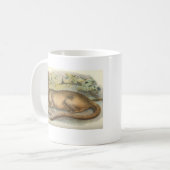 Richard Lydekker - Fossa-BuchhandlungPromo Kaffeetasse (Vorderseite Links)