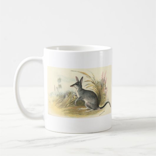 Richard Lydekker - KaninchenBandicoot - Bilby Kaffeetasse (Links)