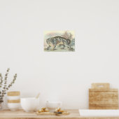 Richard Lydekker - Snow Leopard Portfolio Poster (Küche)