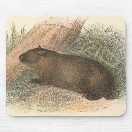 Richard Lydekker - tasmanisches Wombat Mousepad (Vorne)