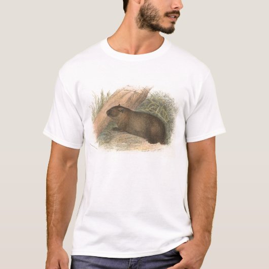 Richard Lydekker - tasmanisches Wombat T-Shirt (Vorderseite)