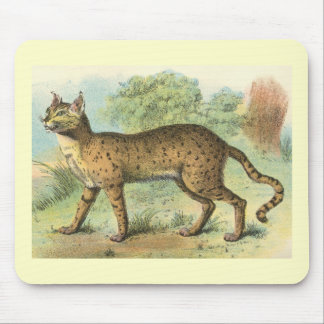 Richard Lydekker - Wüsten-Katze Mousepad