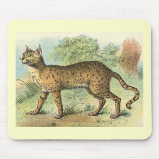Richard Lydekker - Wüsten-Katze Mousepad (Vorne)