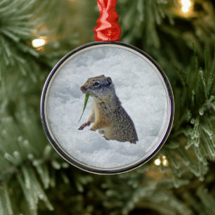 Richardson-Grotte Ornament Aus Metall