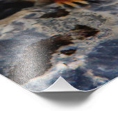 Richardson Ground Eichirrel Fotodruck (Ecke)