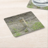 Richardsons Ground Eichhörnchen (Gopher) Rechteckiger Pappuntersetzer (angewinkelt)