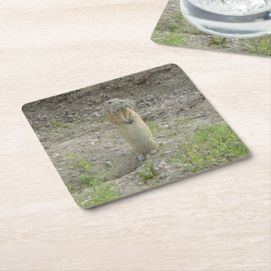 Richardsons Ground Eichhörnchen (Gopher) Rechteckiger Pappuntersetzer (angewinkelt)