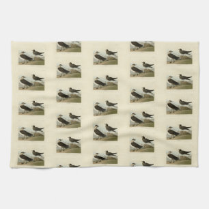 Richardsons Jager von Audubons Vögeln in Amerika Geschirrtuch