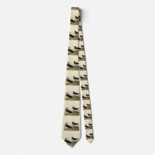 Richardsons Jager von Audubons Vögeln in Amerika Krawatte (Vorderseite)