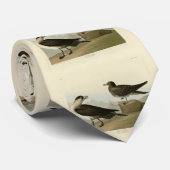 Richardsons Jager von Audubons Vögeln in Amerika Krawatte (Gerollt)