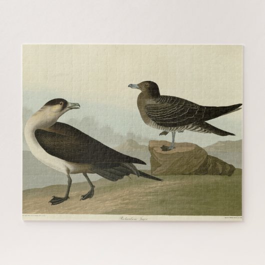 Richardsons Jager von Audubons Vögeln in Amerika Puzzle (Horizontal)