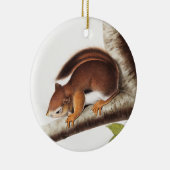 Richardsons kolumbianische EichhörnchenIllustratio Keramik Ornament (Rechts)